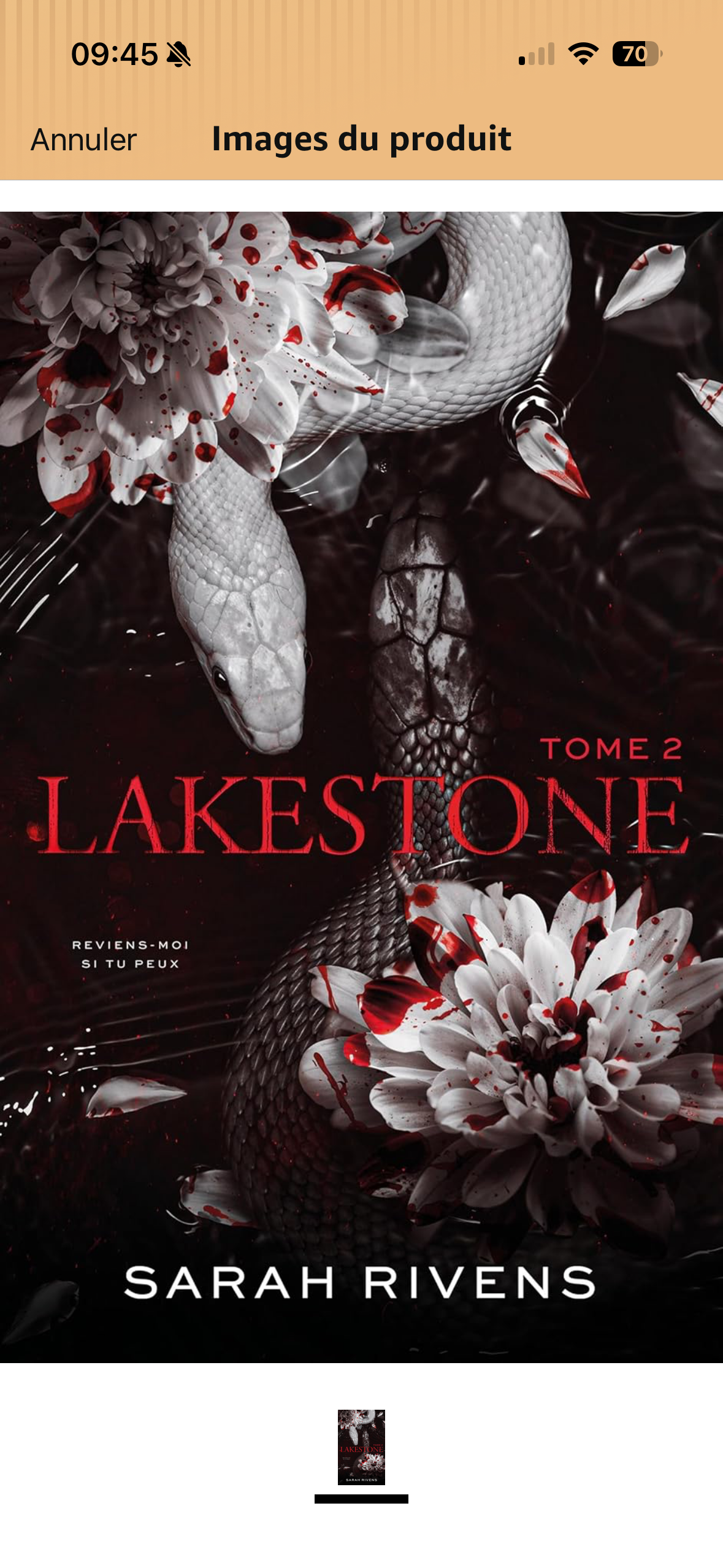 Lakestone Tome 2