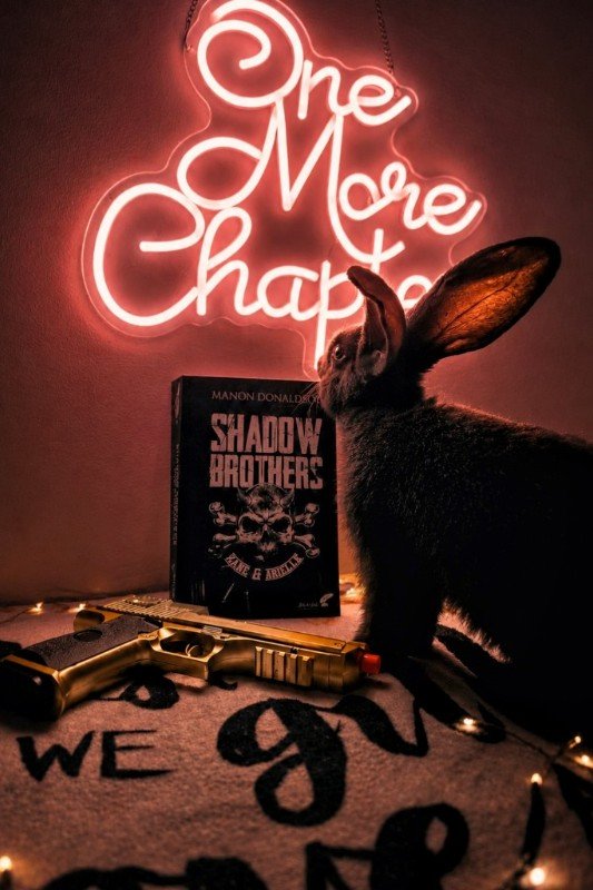 Shadow Brothers. Vol. 1. Kane & Arielle