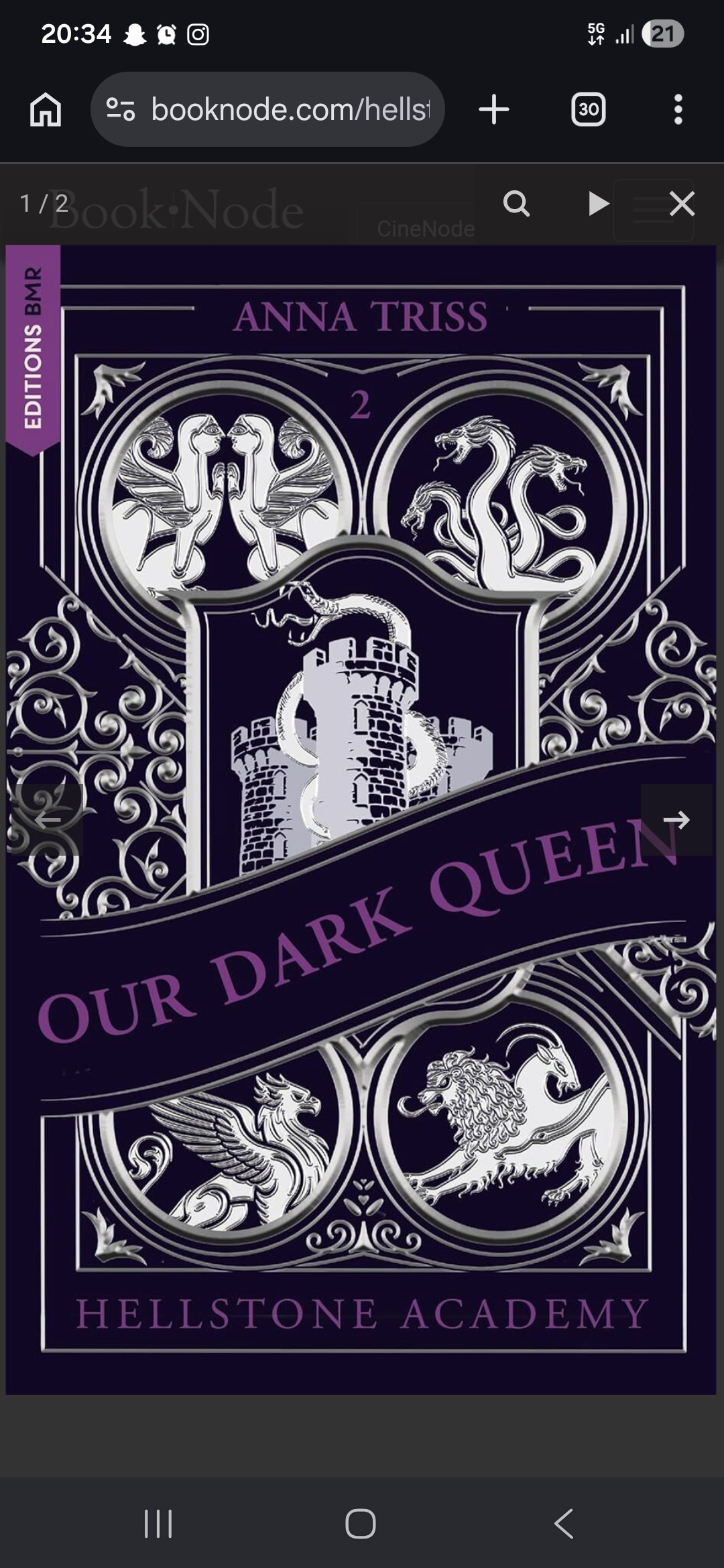 Hellstone Academy, Tome 2 : Our Dark Queen