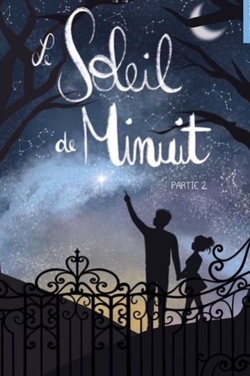 Le soleil de minuit. Vol. 2