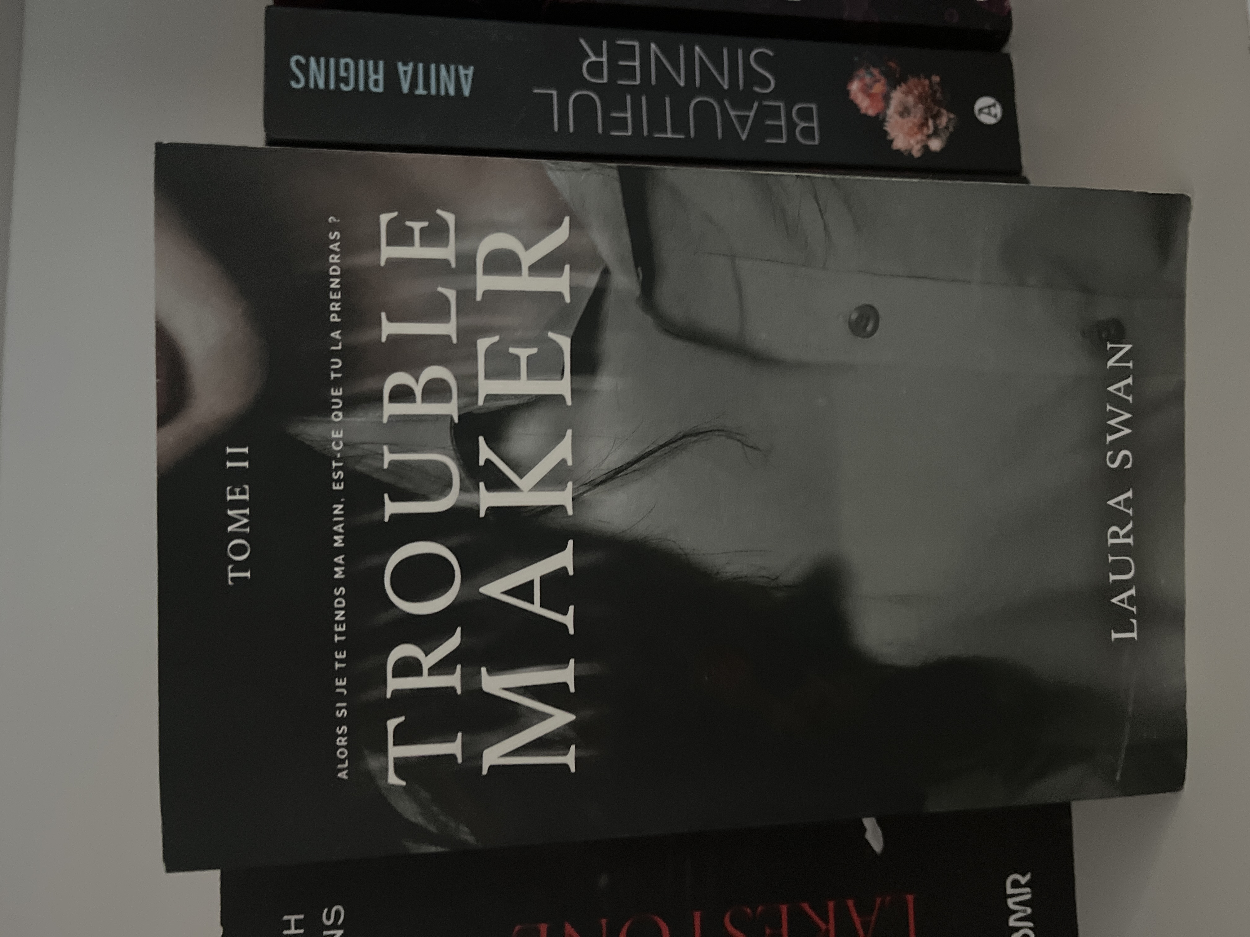 Trouble Maker - Tome 2