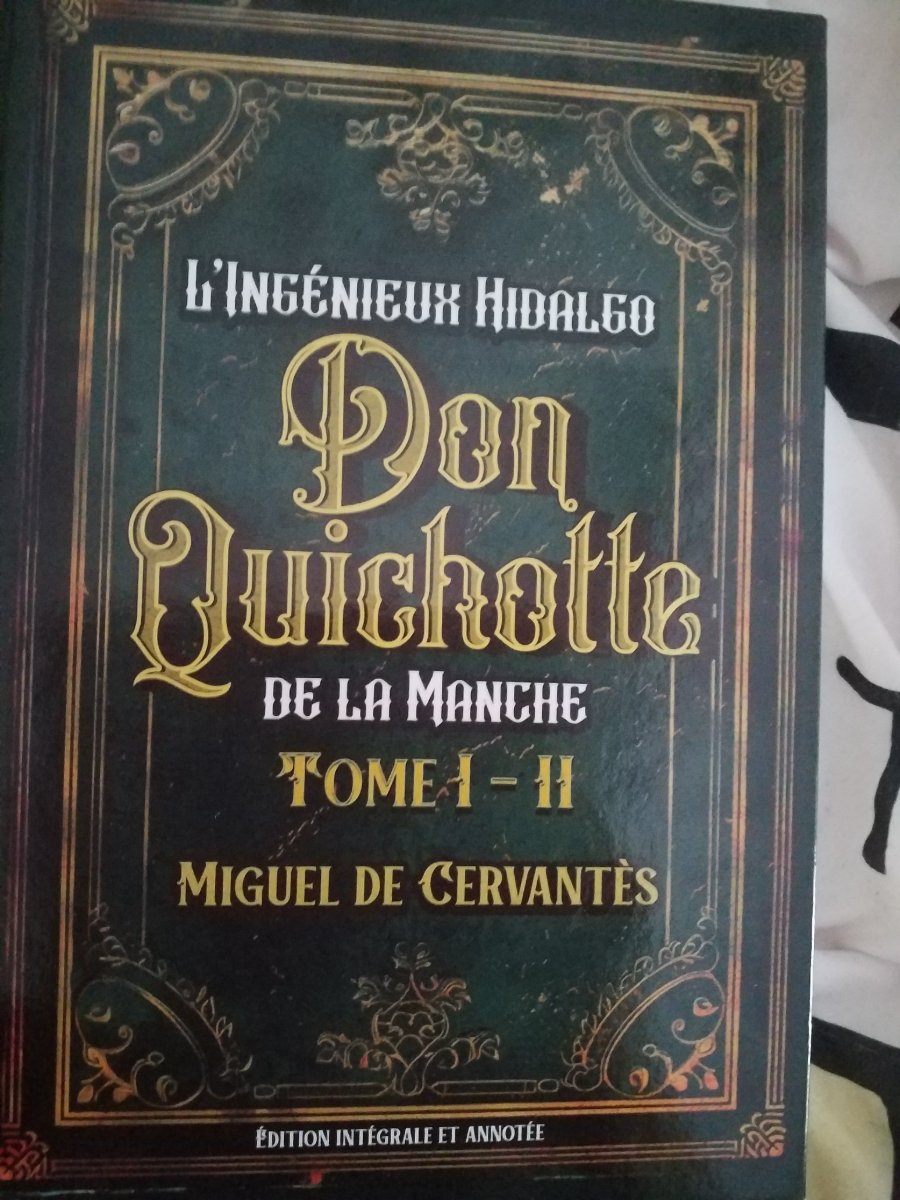 Don quichotte de la Manche
