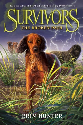 Broken Path