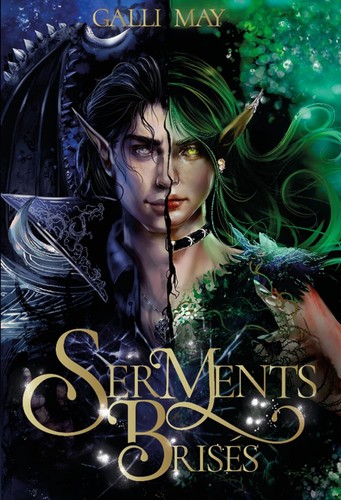 Serments Brisés (La Vengeance à deux visages t. 2)