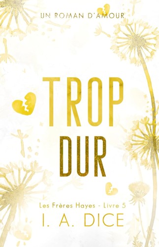 Trop dur: Les Frères Hayes - Livre 5