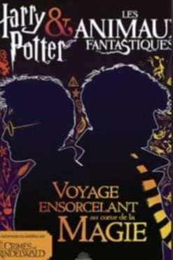 Harry Potter & Les animaux fantastiques : voyage ensorcelant au coeur de la magie