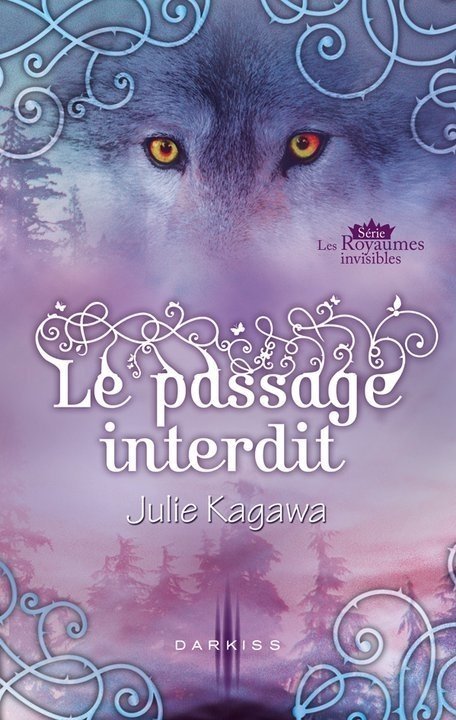 Les Royaumes invisibles, Tome 1.5 : Le Passage interdit