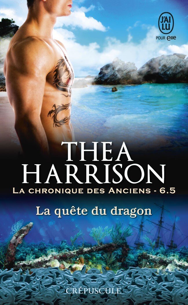 La Chronique des Anciens, Tome 6.5 : La Quête du dragon